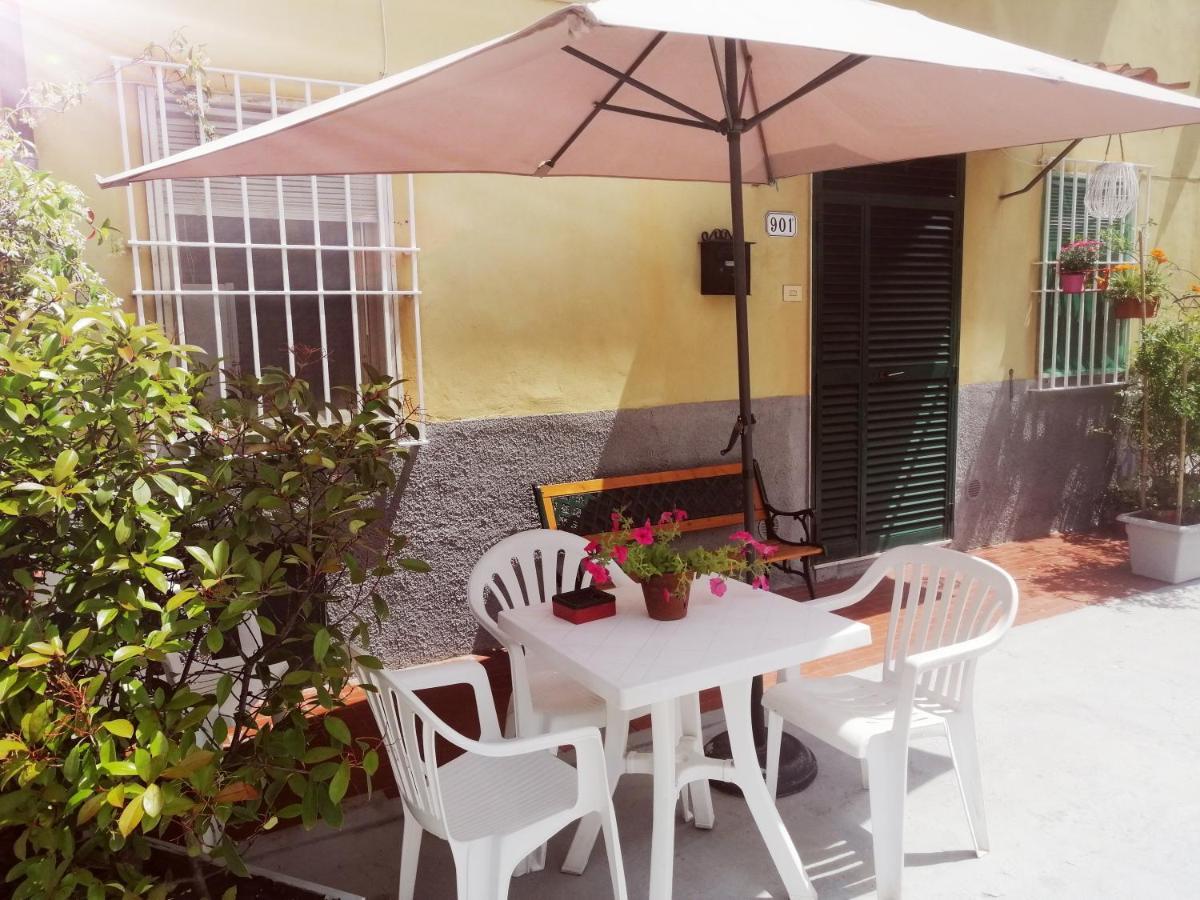 Pierina Apartment Lucca Exterior photo
